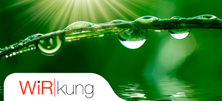 WiRkung GbR 